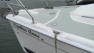 Hunter 33
