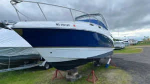 Chaparral 270 Signature