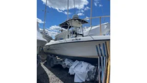 Hydra-Sports 230 Seahorse CC